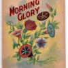 Mary Agnes Cooper Diary 1909 Morning Glory Part 1.pdf