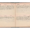 Wellington Willis Diary, 1913-82.pdf
