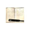 John A Blake 1876 Diary  30.pdf