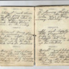 John Willis Diary,1872-11.pdf