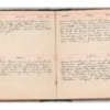 Wellington Willis Diary, 1913-61.pdf