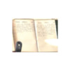 John A Blake 1876 Diary  129.pdf