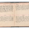 Wellington Willis Diary, 1913-17.pdf