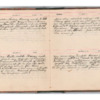 Wellington Willis Diary, 1913-22.pdf
