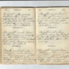 John Willis Diary,1872-20.pdf