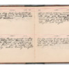 Wellington Willis Diary, 1913-34.pdf