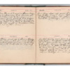 Wellington Willis Diary, 1913-74.pdf