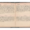 Wellington Willis Diary, 1913-83.pdf