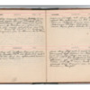 Wellington Willis Diary, 1913-81.pdf