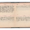 Wellington Willis Diary, 1913-26.pdf