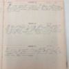 Levi Levere Diary, 1910 (12).pdf
