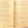 Mary Ann King Diary, 1909 & 1910-19.pdf