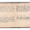 Wellington Willis Diary, 1913-48.pdf