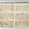 John Willis Diary,1872-8.pdf