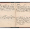 Wellington Willis Diary, 1913-88.pdf