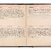 Wellington Willis Diary, 1913-70.pdf