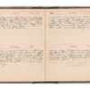 Wellington Willis Diary, 1913-47.pdf