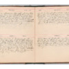 Wellington Willis Diary, 1913-51.pdf