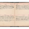 Wellington Willis Diary, 1913-56.pdf
