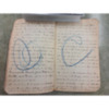 Joseph Dillon Diary, 1905 (11).pdf