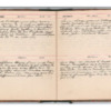 Wellington Willis Diary, 1913-65.pdf