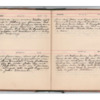 Wellington Willis Diary, 1913-73.pdf