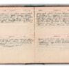 Wellington Willis Diary, 1913-24.pdf