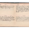 Wellington Willis Diary, 1913-90.pdf