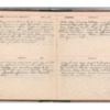Wellington Willis Diary, 1913-91.pdf