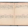 Wellington Willis Diary, 1913-76.pdf