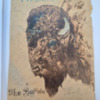 Philip Henry Shook 1908-1911 (42).pdf