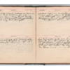 Wellington Willis Diary, 1913-75.pdf