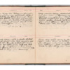Wellington Willis Diary, 1913-49.pdf