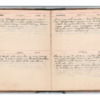 Wellington Willis Diary, 1913-68.pdf