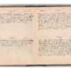 Wellington Willis Diary, 1913-21.pdf