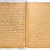 Mary Ann King 1905 Diary-6.pdf