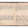 Wellington Willis Diary, 1913-92.pdf