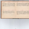 Wellington Willis Diary, 1913-42.pdf
