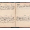 Wellington Willis Diary, 1913-78.pdf