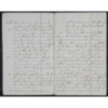 Mary Rose Diary, 1878-1879-2.pdf