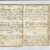 John Willis Diary,1872-34.pdf