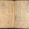 Edith &quot;Gertrude&quot; Brown Hood Diary, 1912-1929
