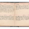 Wellington Willis Diary, 1913-66.pdf