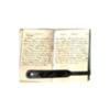 John A Blake 1876 Diary  17.pdf