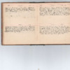 Wellington Willis Diary, 1913-44.pdf