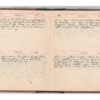 Wellington Willis Diary, 1913-37.pdf