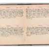 Wellington Willis Diary, 1913-28.pdf