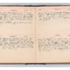 Wellington Willis Diary, 1913-54.pdf