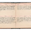 Wellington Willis Diary, 1913-57.pdf