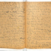 Mary Ann King 1905 Diary-12.pdf